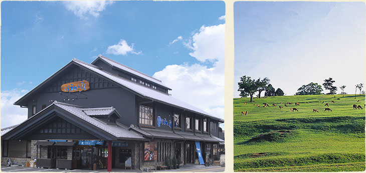 NARA NAGOMIKAN is located near major landmarks.